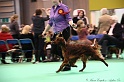 Crufts2011 908